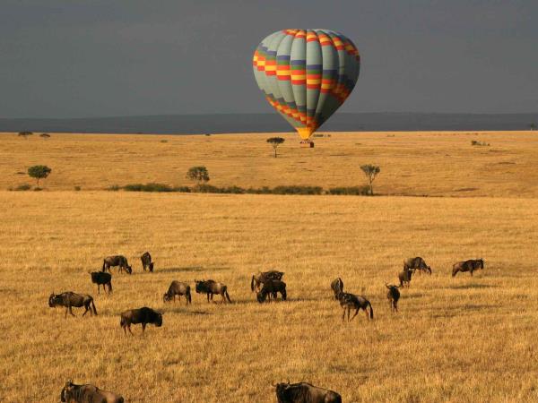 2 weeks & 14 Days Tanzania safari itinerary tour packages for first timers in Tanzania